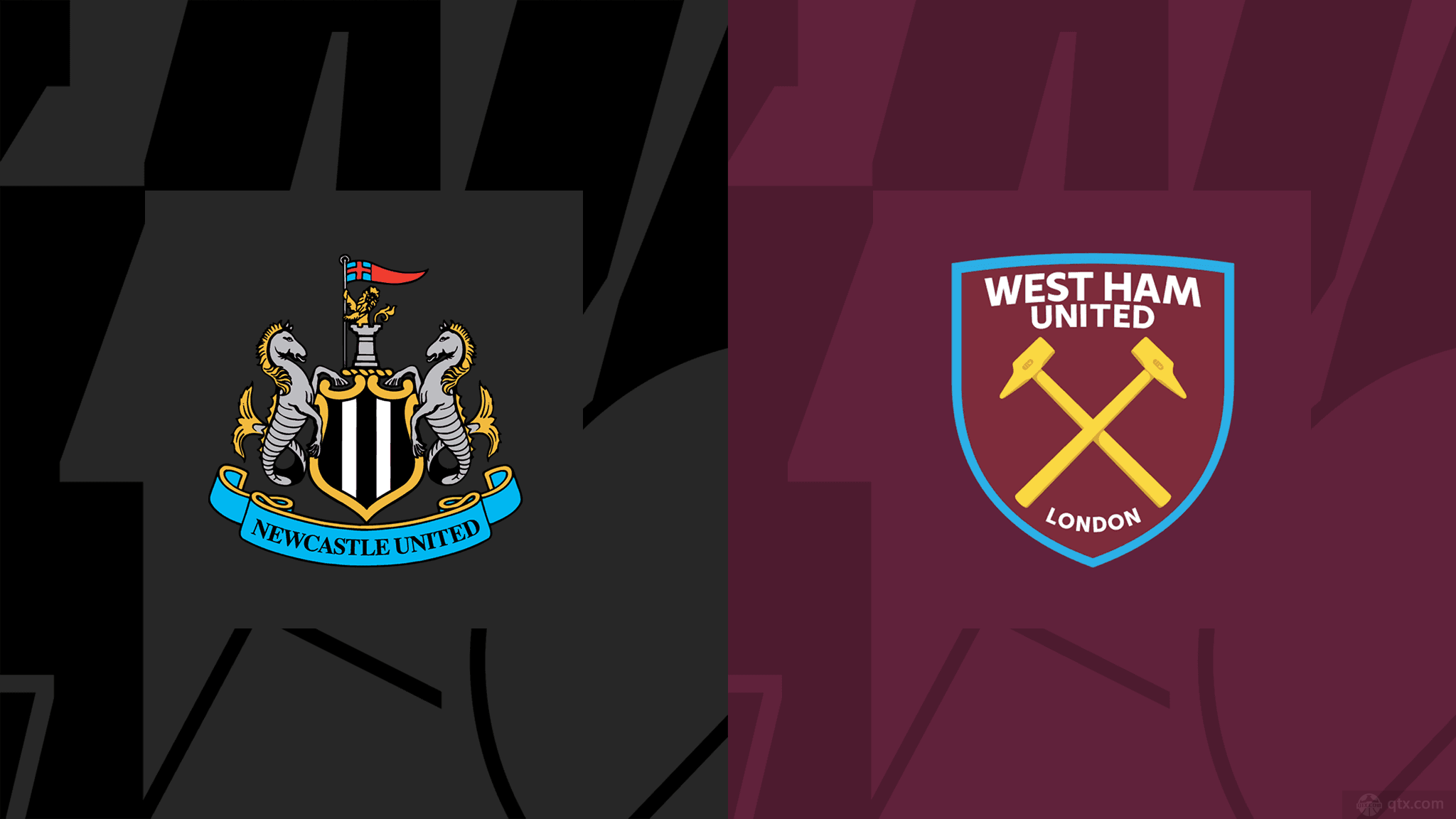 长轨迹和科 长轨迹和科